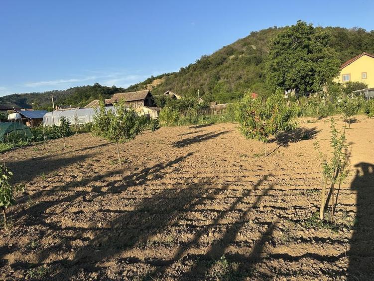 Teren de 1600 mp, în Hinova