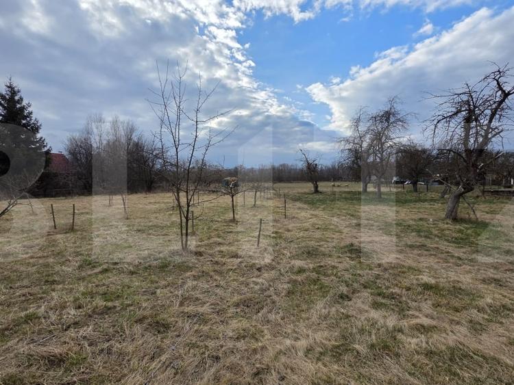 Teren Construcții intravilan de 3069 mp, în Ghidfalău