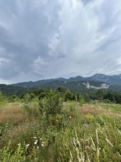 Teren Construcții intravilan de 1000 mp, în Cumpătu