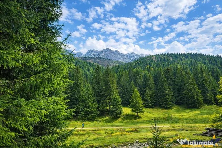 Teren în Zărnești