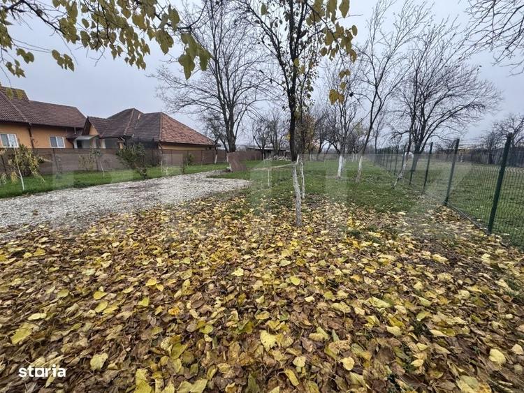 Spațiu comercial, în Preajba Mare