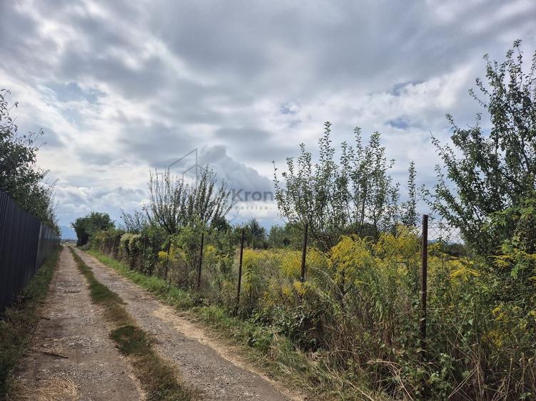 Teren Construcții intravilan de 650 mp, în Sânpetru