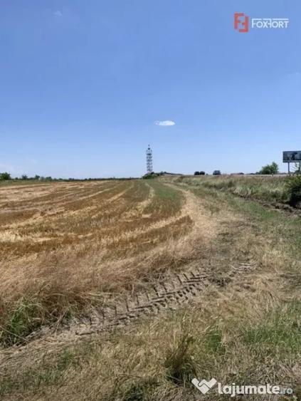 Teren de 570000 mp, în Aeroport