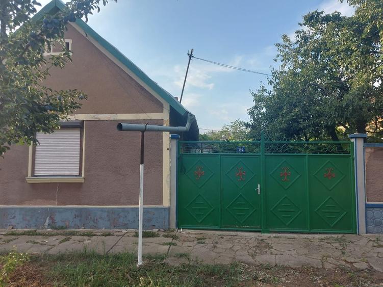 Casa de vanzare in Sofronea, cu livada si teren spatios - 4