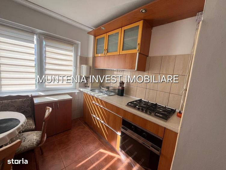 Apartament cu 2 camere semidecomandat în Banat