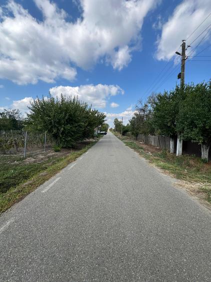 Teren Construcții intravilan de 736 mp, în Bistrița Nouă