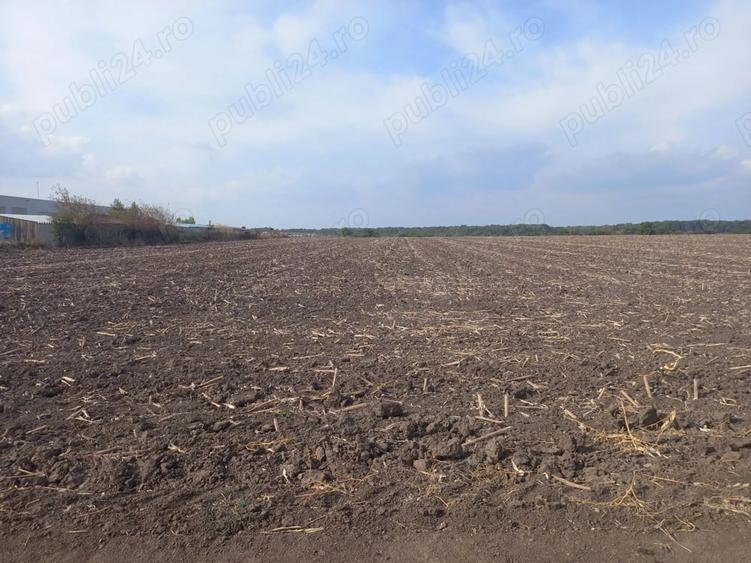 Teren de 10000 mp, în Dascălu
