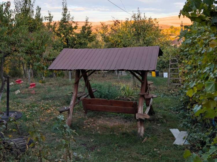 Casă cu 3 camere în Central