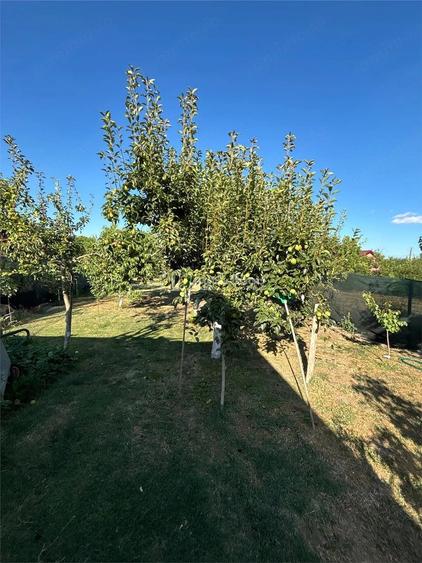 Casă cu Teren 814 Mp în
