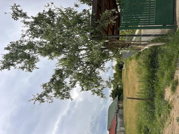 Teren de 1767 mp, în Lipănești