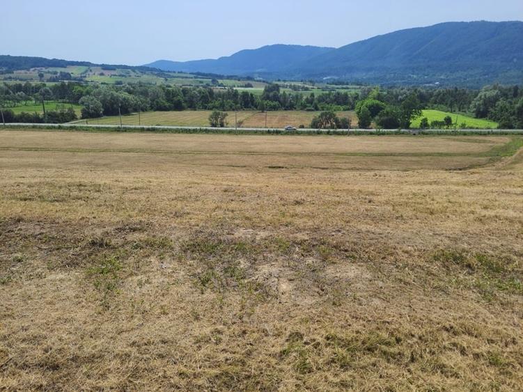 Teren agricol intravilan de 60000 mp, în Copalnic-Mănăștur