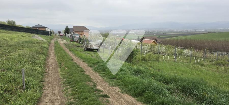 Teren Construcții intravilan de 536 mp, în Șura Mare