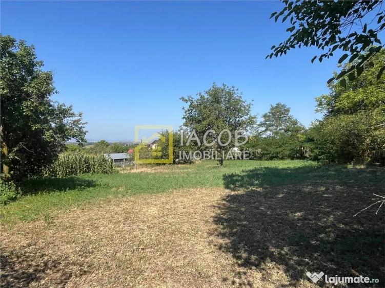 Teren 1541 mp sat comuna Buhoci str Prunului jud Bacau - 4