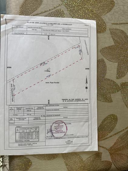 Teren de 5000 mp, în Exterior Vest
