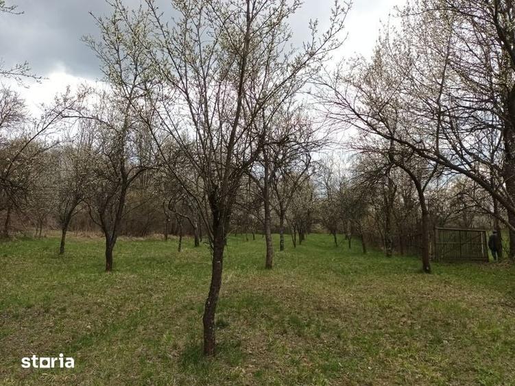 Teren de 10600 mp, în Dăești