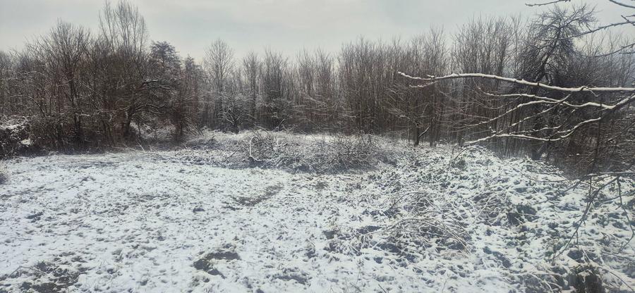 Teren de 9000 mp, în Păușești-Măglași
