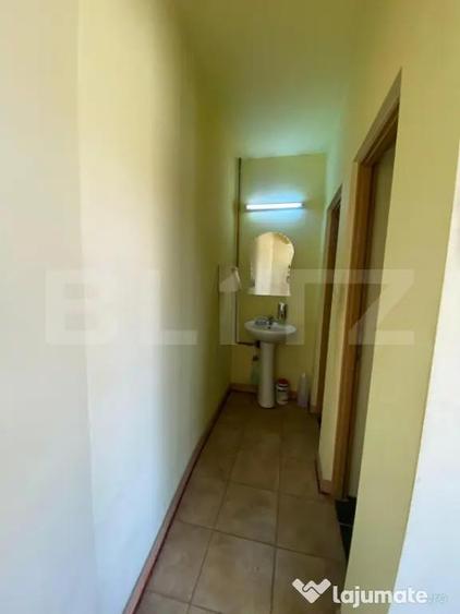 Spațiu comercial, de 300 mp, în Viișoara