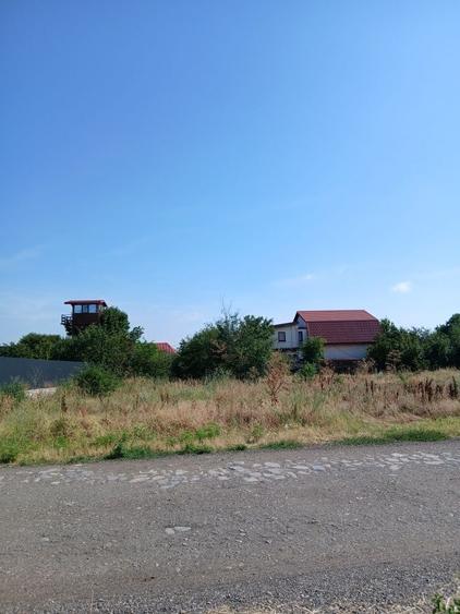 Spațiu comercial, în Sârbi