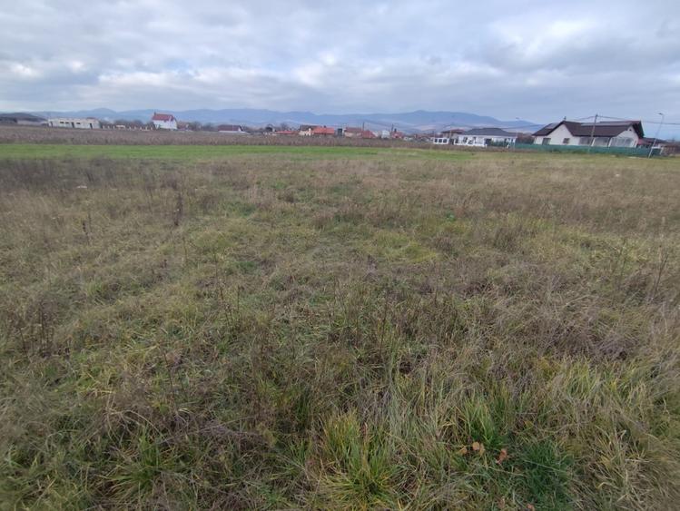 Teren Construcții intravilan de 601 mp, în Partoș