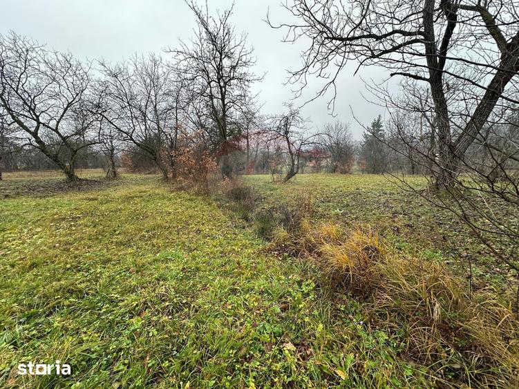 Teren de 1071 mp, în Tăuții-Măgherăuș