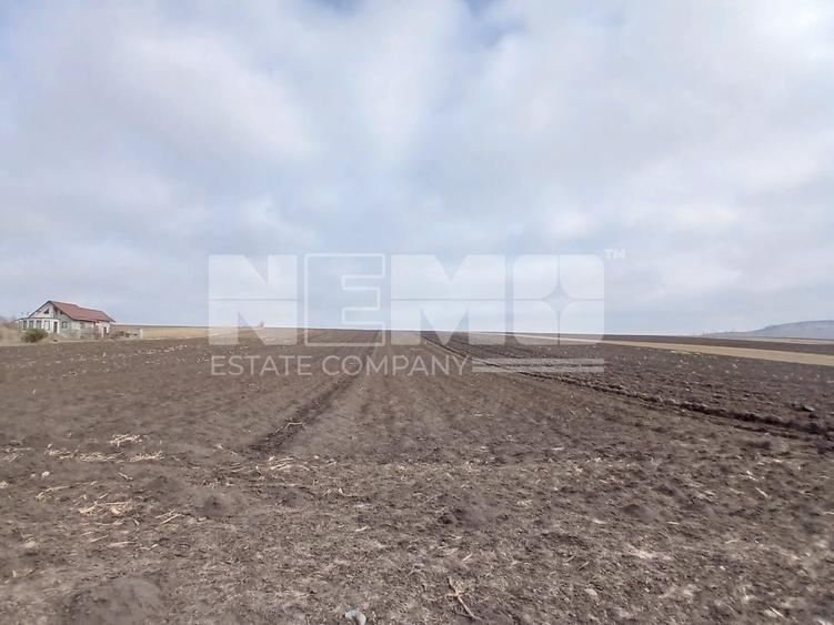 Teren agricol intravilan de 7700 mp, în Moara