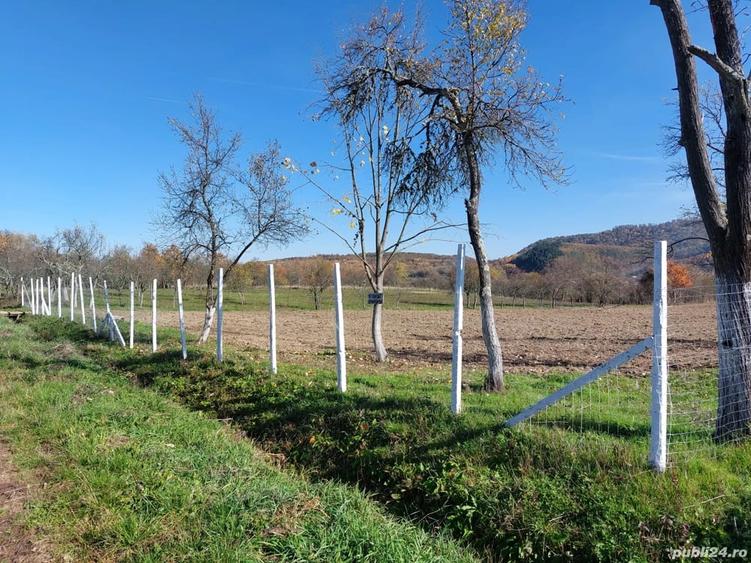 Teren de 4316 mp, în Fârdea