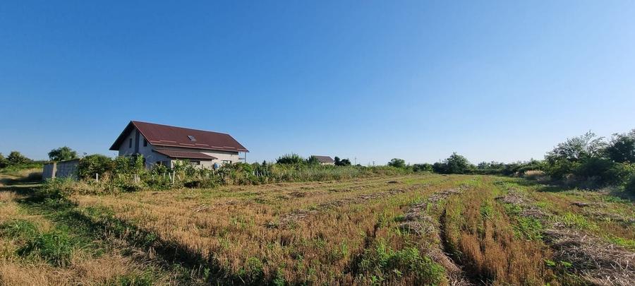 Teren Construcții intravilan de 2500 mp, în Vest