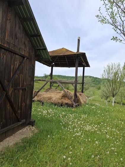 Spațiu comercial, în Rona de Jos