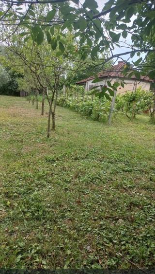 Teren Construcții intravilan de 3562 mp, în Ștrandului
