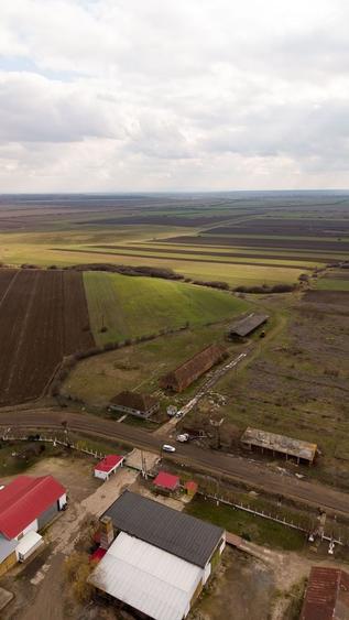Spațiu industrial, de 3,000 mp, în Mișca