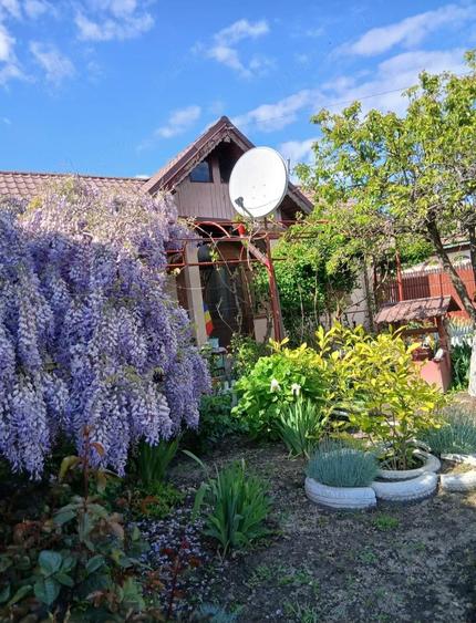 Casa de vanzare in apropiere de Bucure?ti - 1