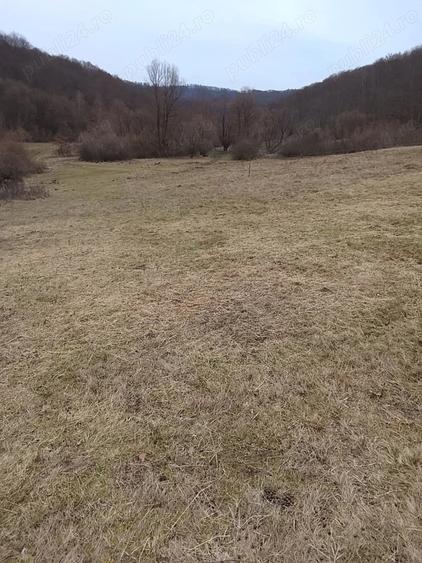 Casă cu 2 camere cu Teren 5 Mp în Central