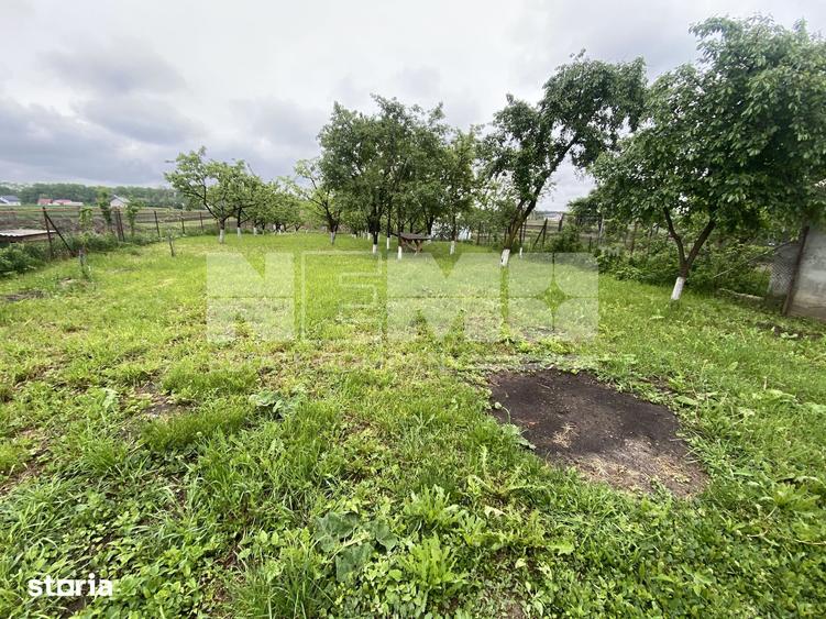 Casă cu 5 camere cu Teren 3000 Mp în Rădăuți