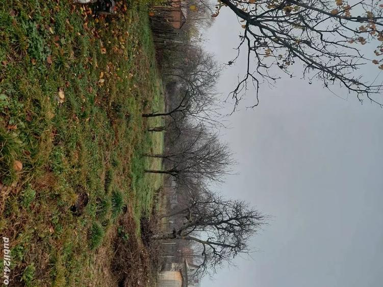Teren de 1100 mp, în Scorțeni