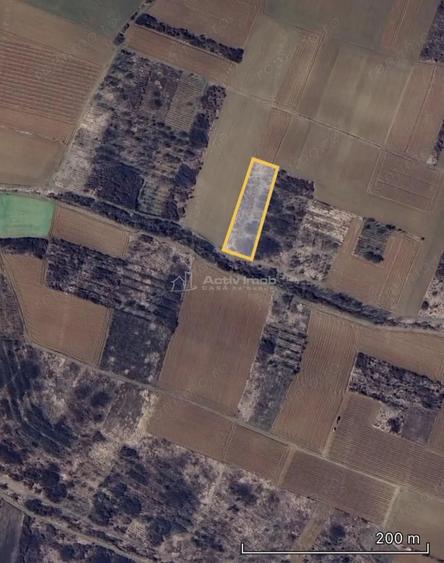 Teren de 3000 mp, în Biharia