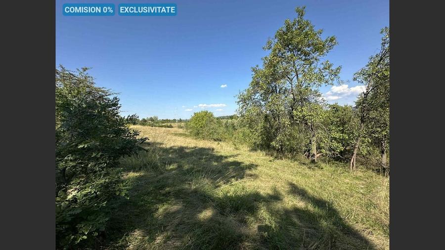 Teren Construcții intravilan de 17260 mp, în Calea Caransebeșului