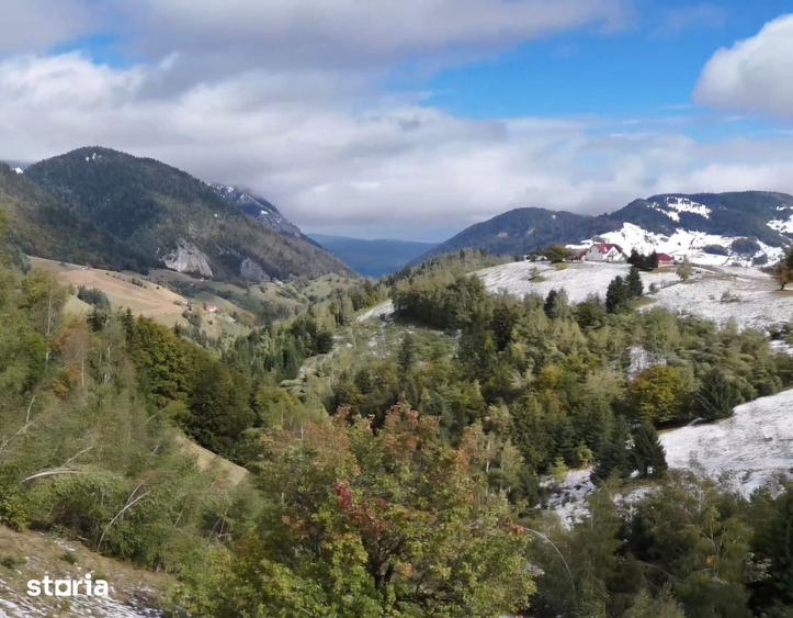 Teren de 11908 mp, în Moieciu