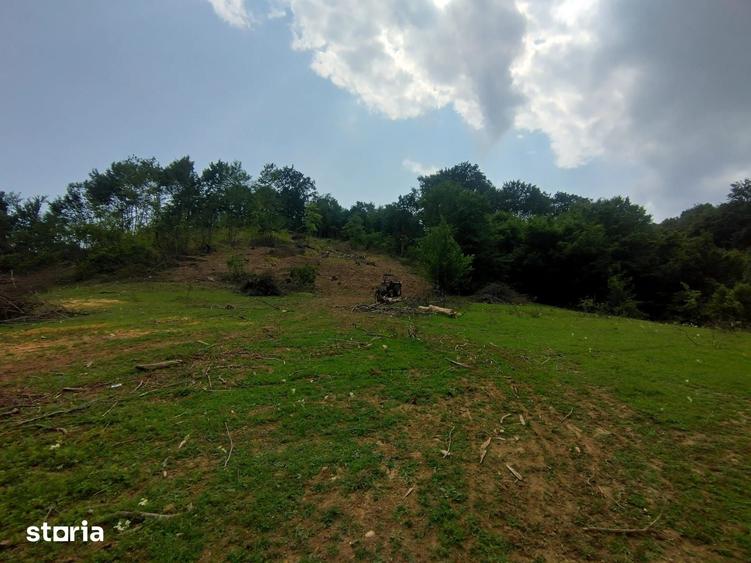 Teren de 13800 mp, în Remetea Chioarului