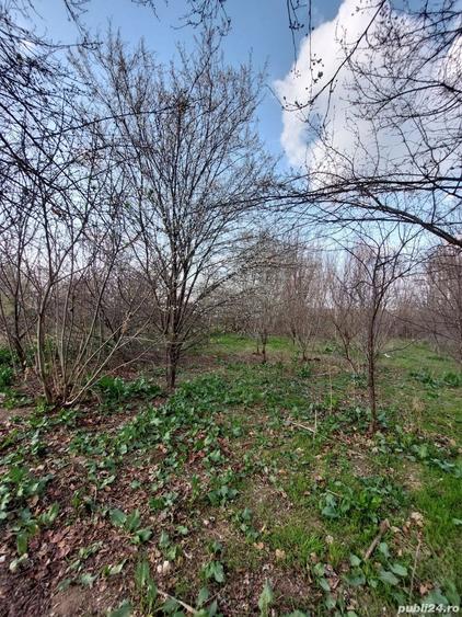 Teren de 1500 mp, în Livada