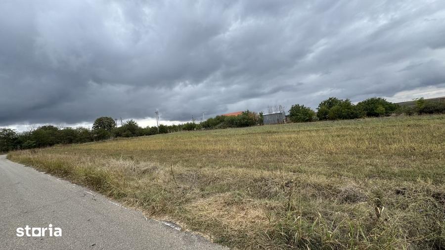 Teren de 1400 mp, în Comana