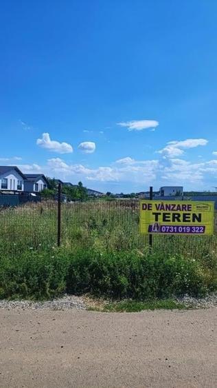 Vand teren 10.000 mp Orientului - Tunari - 2
