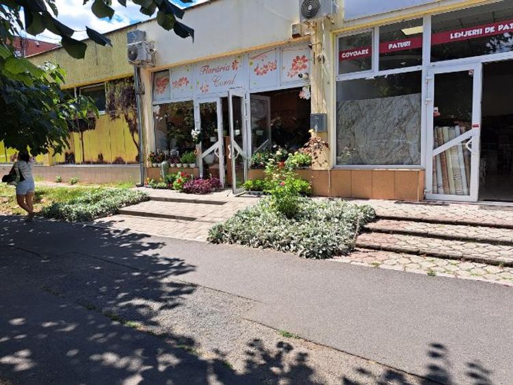 Spațiu comercial, 100 mp în Arad