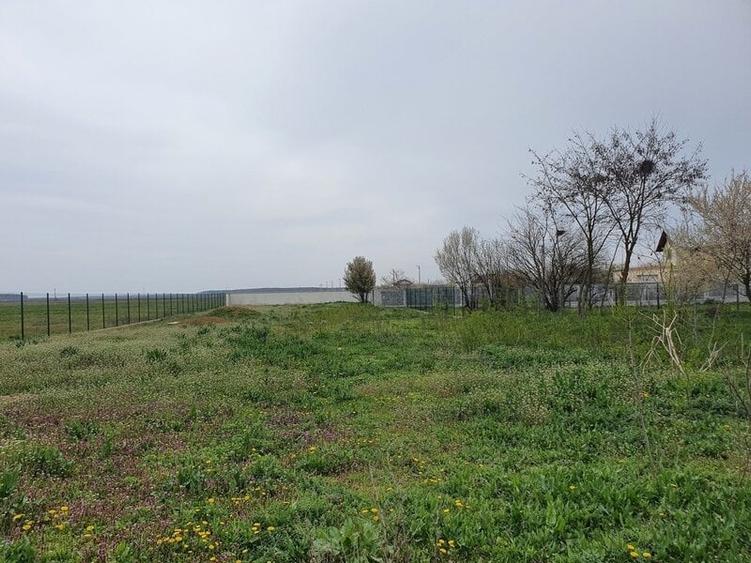 Teren Construcții intravilan de 2000 mp, în Bâldana