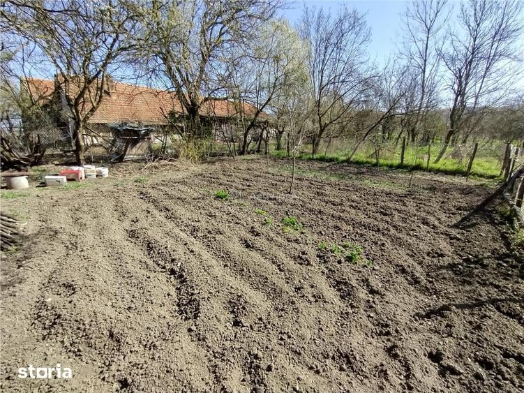 Casă cu 8 camere cu Teren 3800 Mp în Central