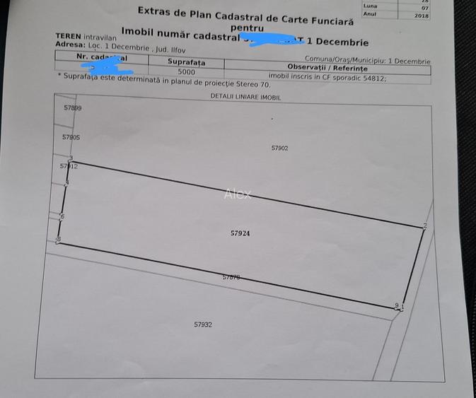 TEREN INTRAVILAN CONSTRUIBIL 5.000 MP | Dubla deschidere | 1 Decembrie, Ilfov