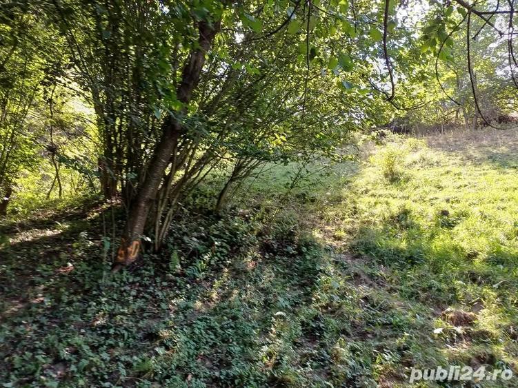 Teren de 3000 mp, în Măguri