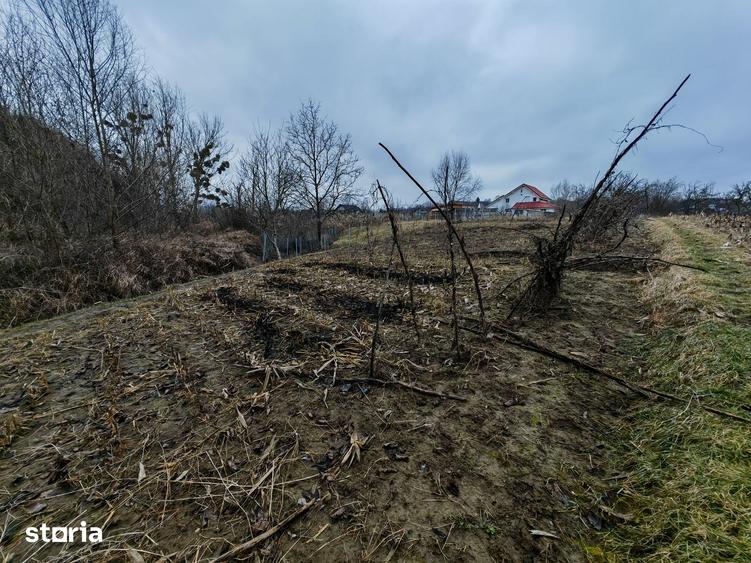 Teren de 3000 mp, în Măgura