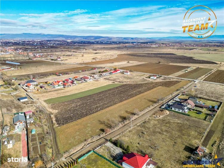 Teren de 31605 mp, în Ilieni