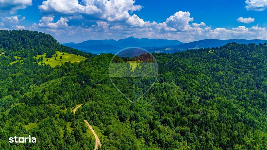 Teren de 7000 mp, în Gârcini