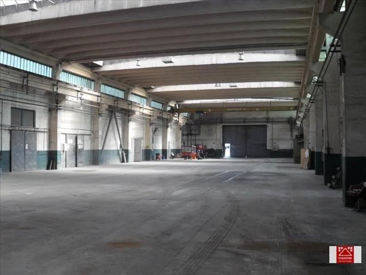 Spațiu industrial, de 7,000 mp, în Sânnicolau Mic